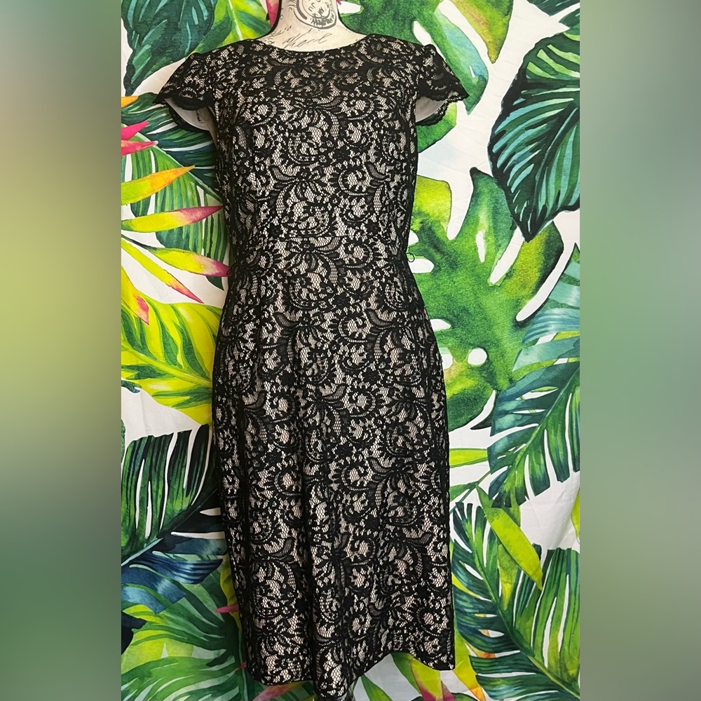NWT Talbots 8 Black Lace Cream Cap Sleeve Date Night Event Preppy Dinner Dress